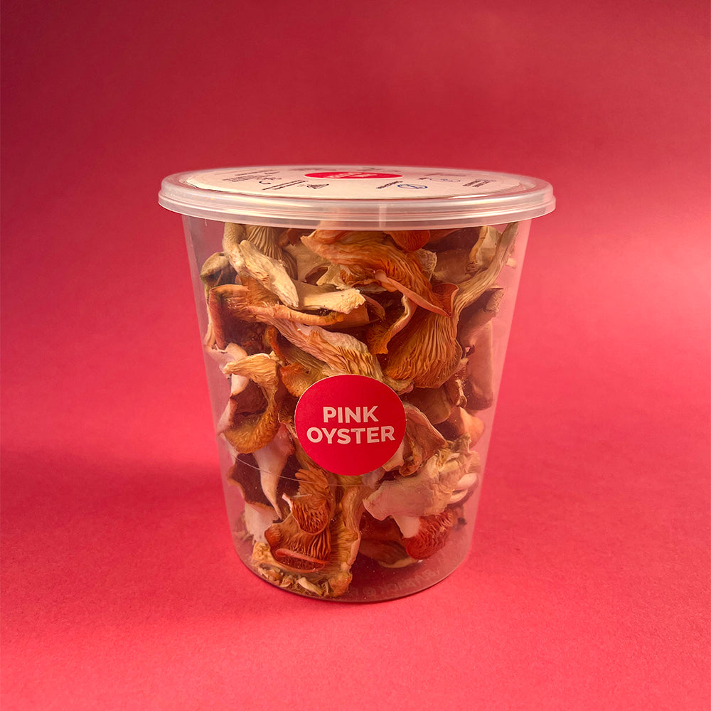 Dried Oyster Mushrooms