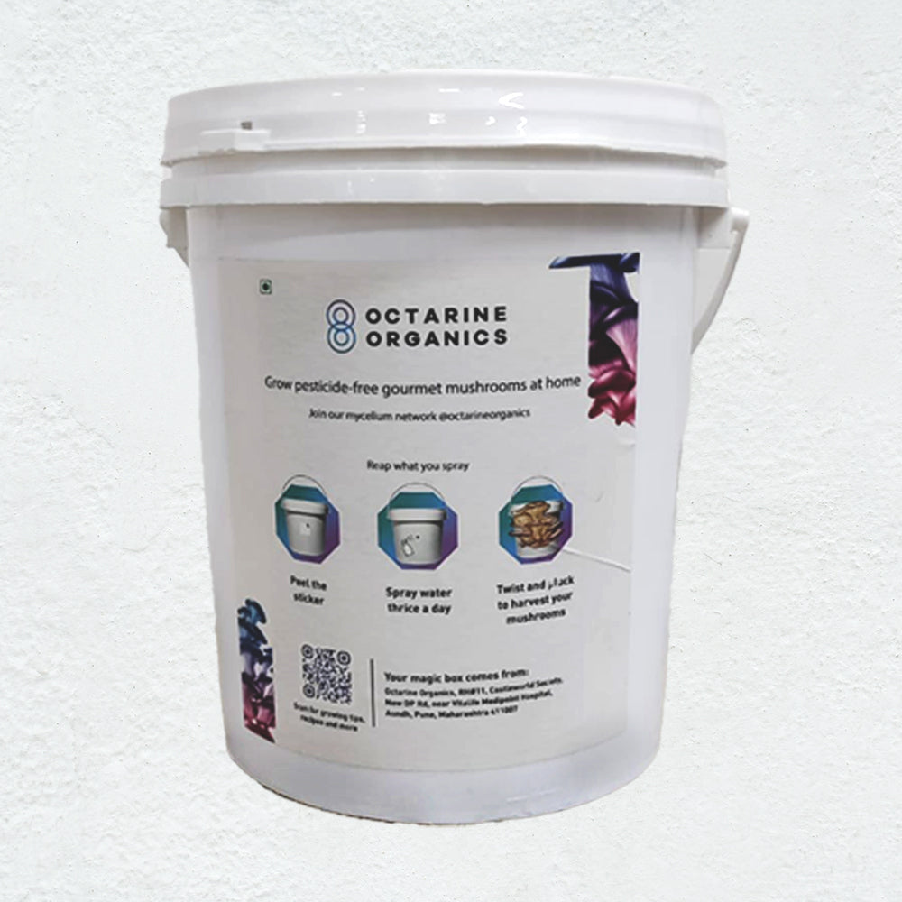 Mushroom Grow kit - Octarine Organics