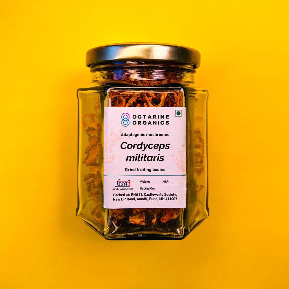 Cordyceps militaris