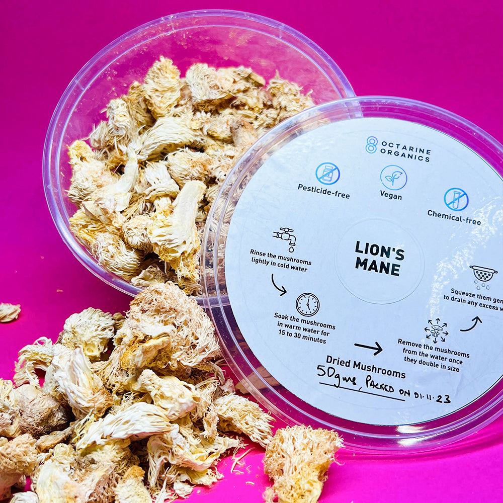 Dried Lion's Mane mushrooms Octarine Organics Private Limited