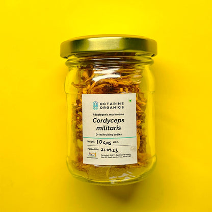 Cordyceps militaris