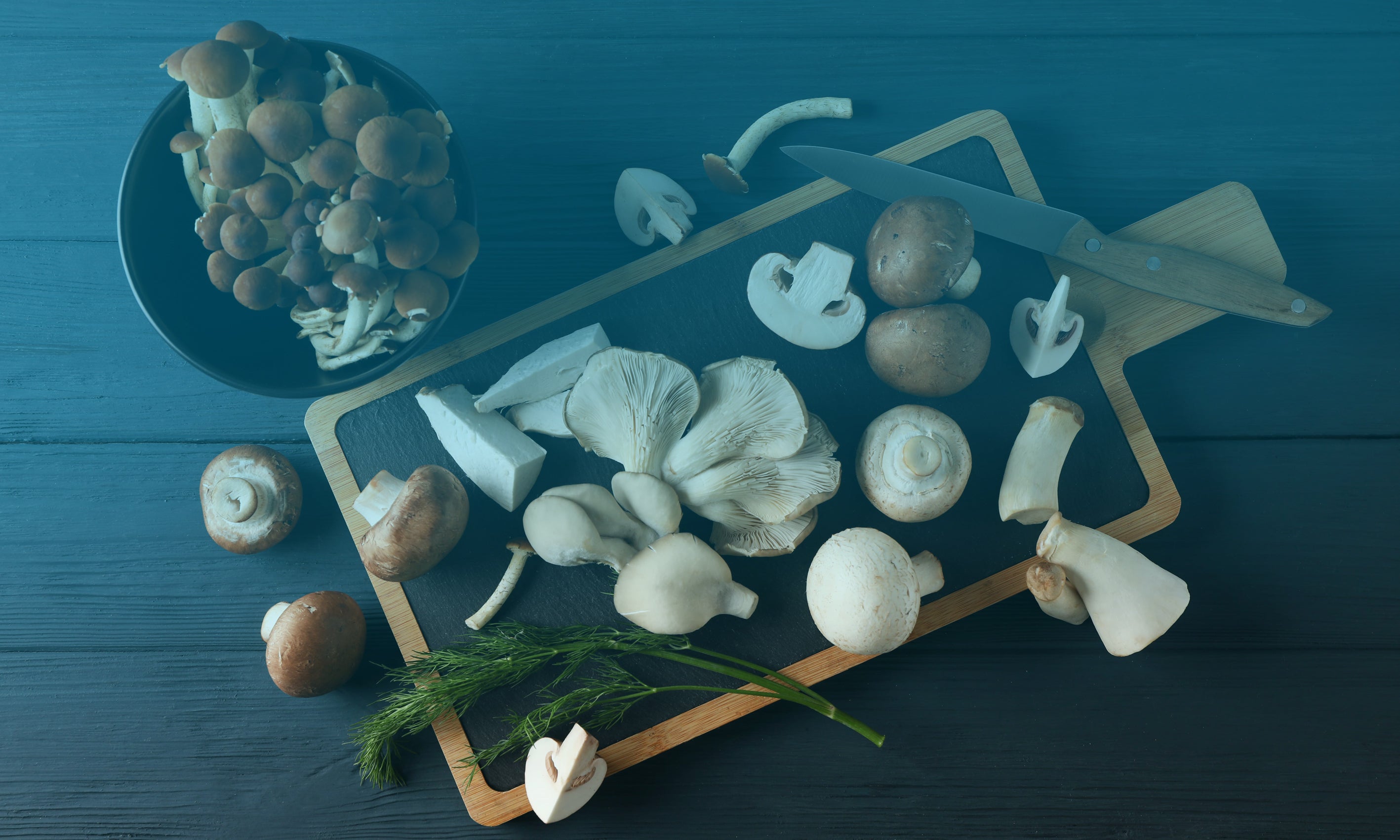 Umami For You & Me - Octarine Organics