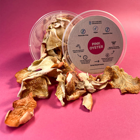 Dried Oyster Mushrooms