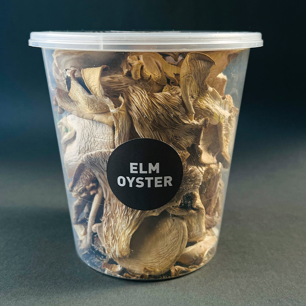 Dried Oyster Mushrooms