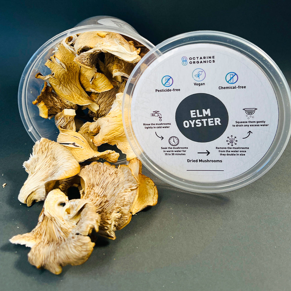 Dried Oyster Mushrooms