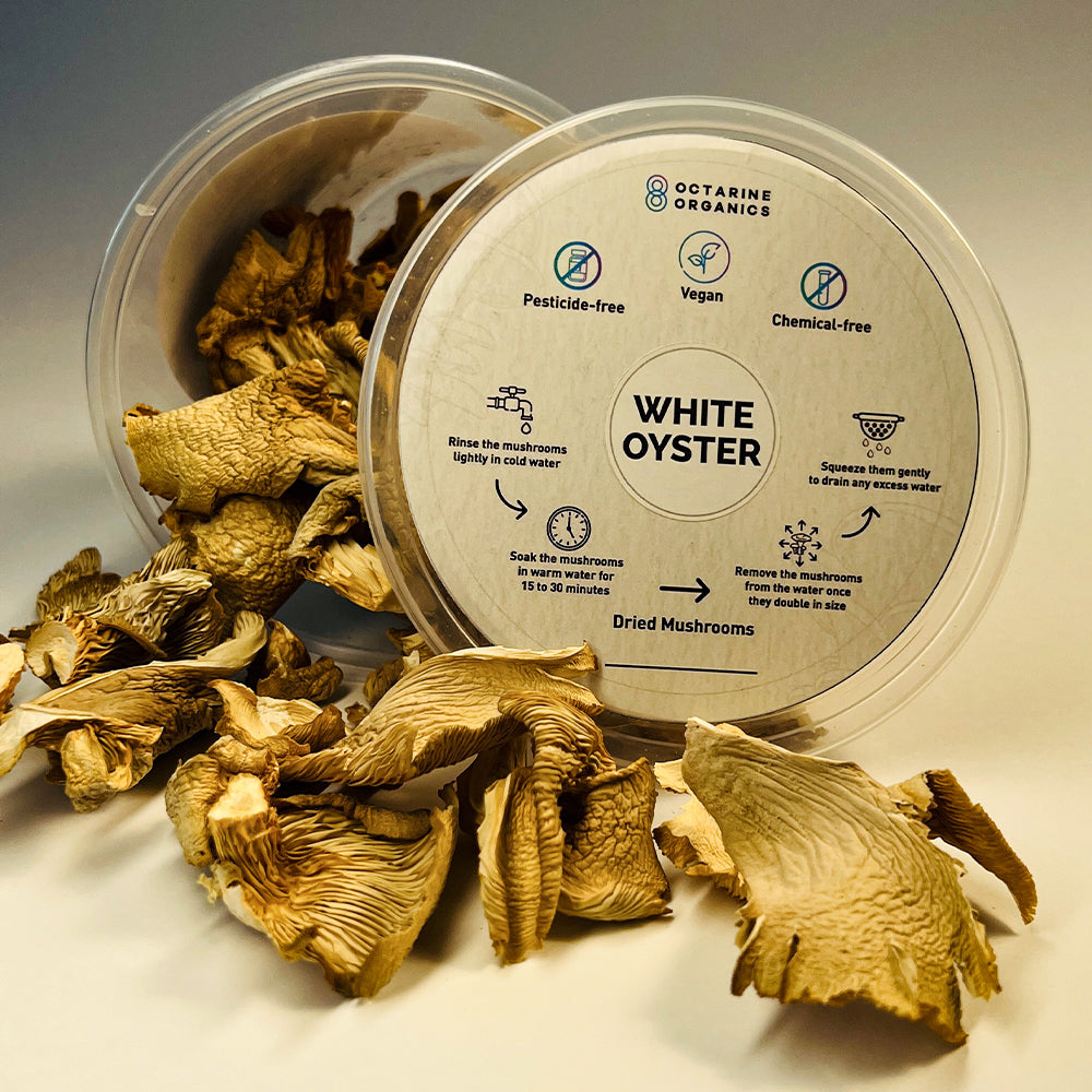 Dried Oyster Mushrooms