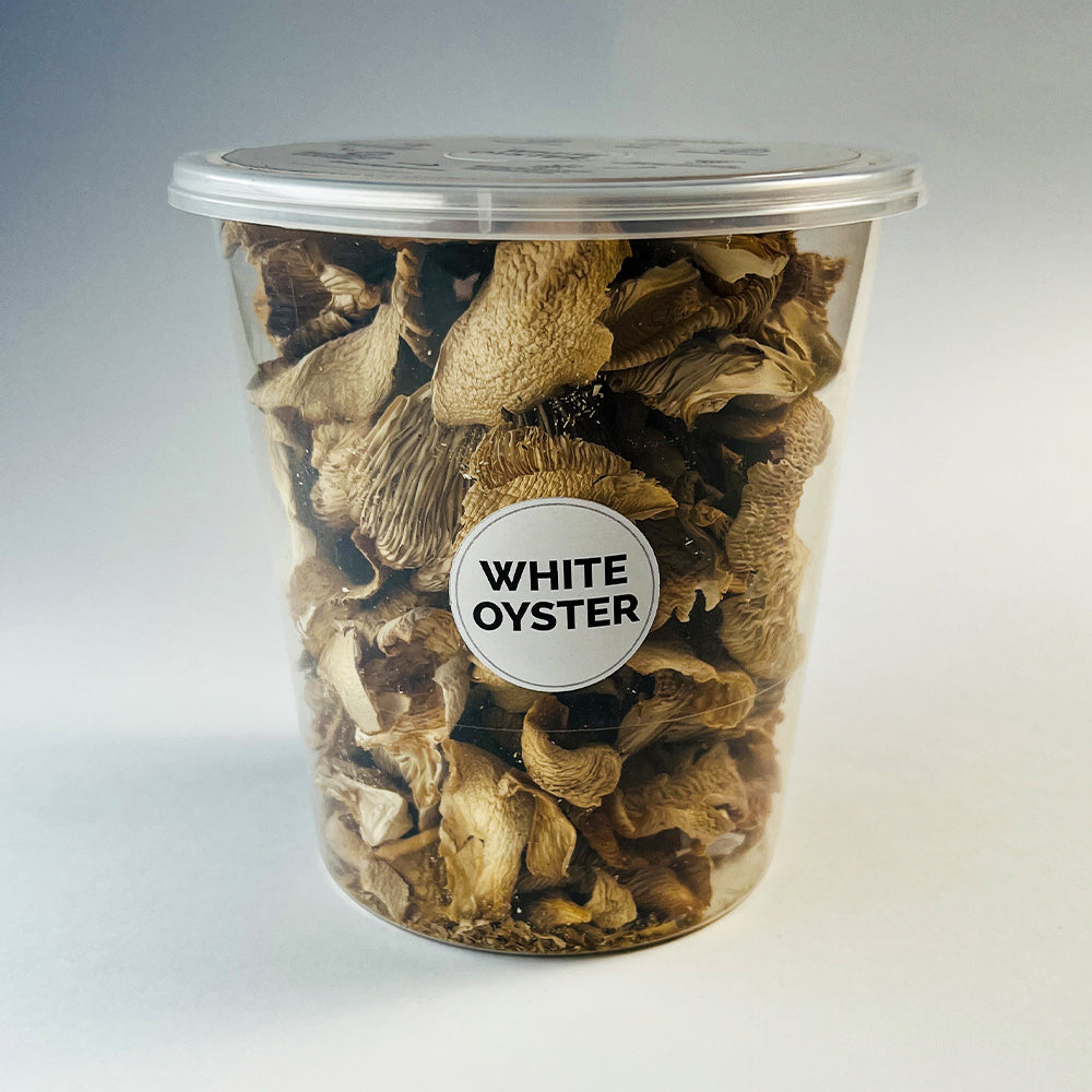 Dried Oyster Mushrooms