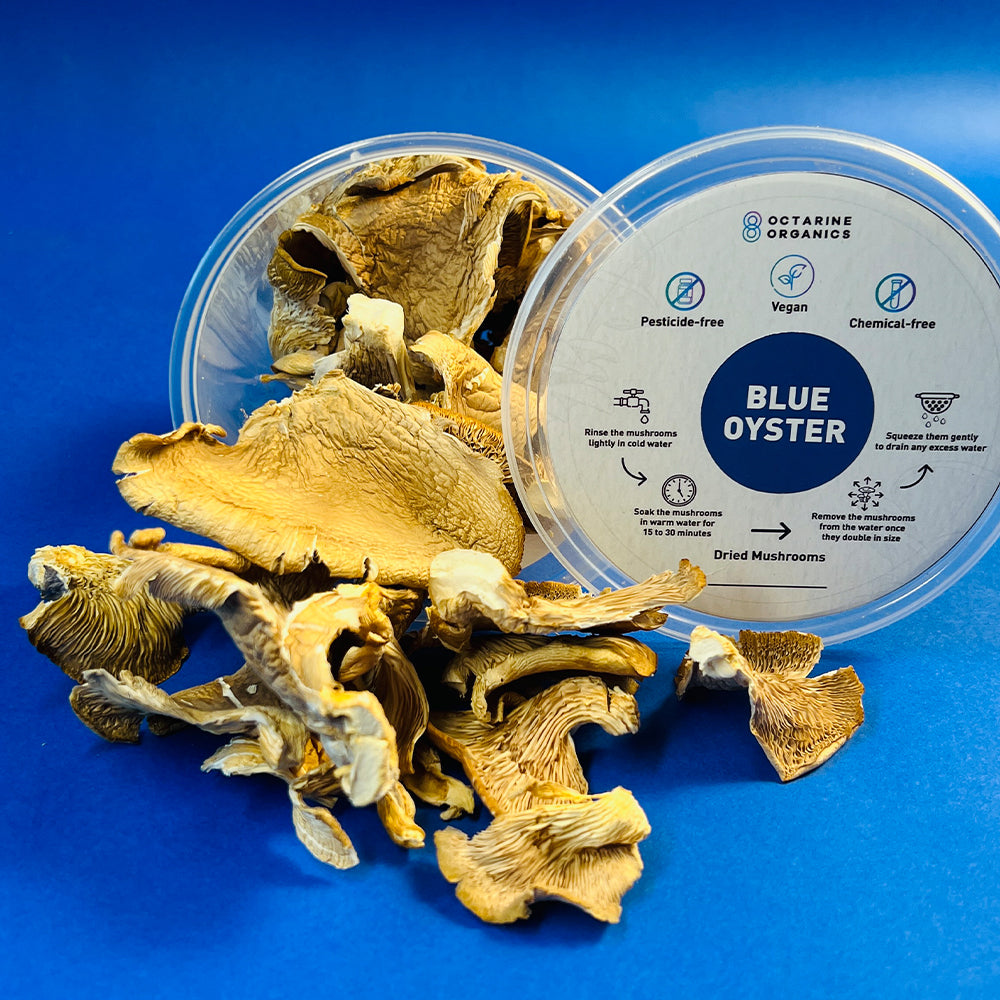Dried Oyster Mushrooms