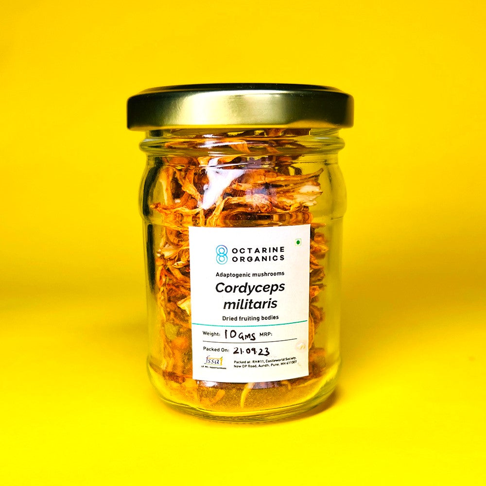Cordyceps militaris