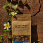 Dried Oyster Mushrooms - Octarine Organics