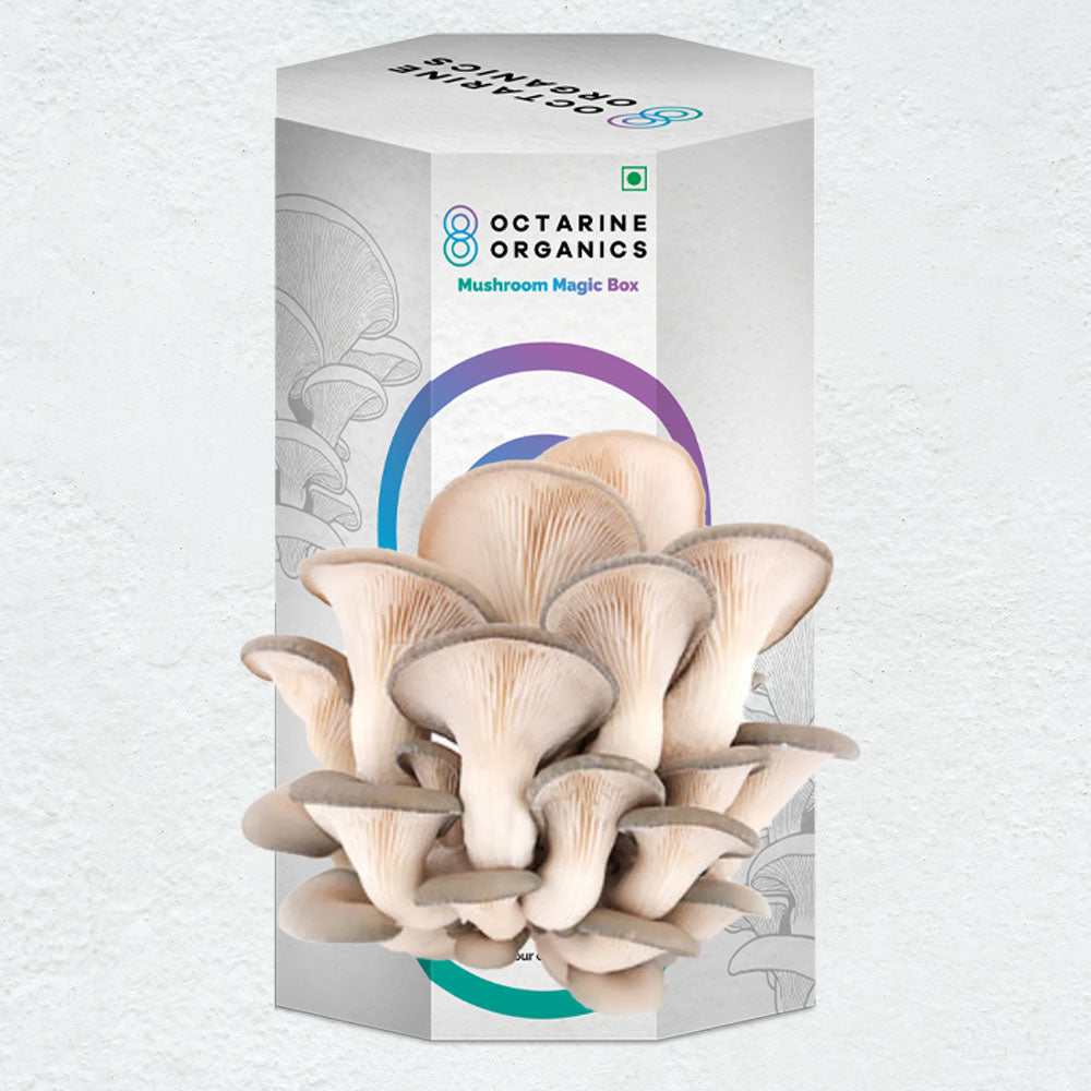 OO Magic Box - Octarine Organics